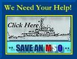 We need your help to **Save an MSO**